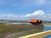 Through the Wetlands:Thailand's Iconic Ekacai Bridge