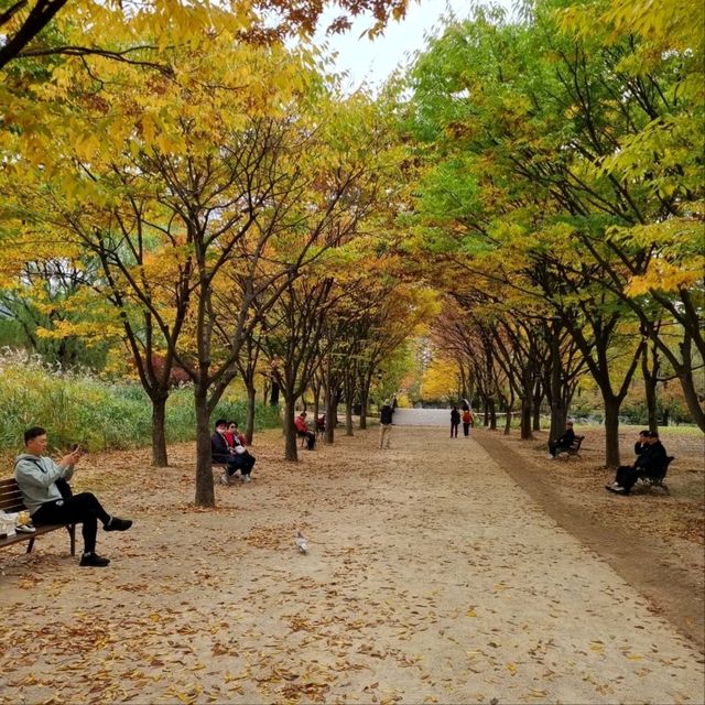 Chill Hangout Spot with Nature and City Mix