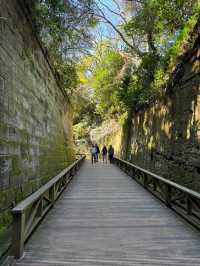 東京からすぐ行ける秘境🫣🌿豊かな自然と済んだ海の美しい無人島🏝