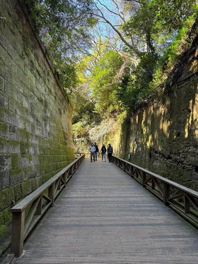 東京からすぐ行ける秘境🫣🌿豊かな自然と済んだ海の美しい無人島🏝