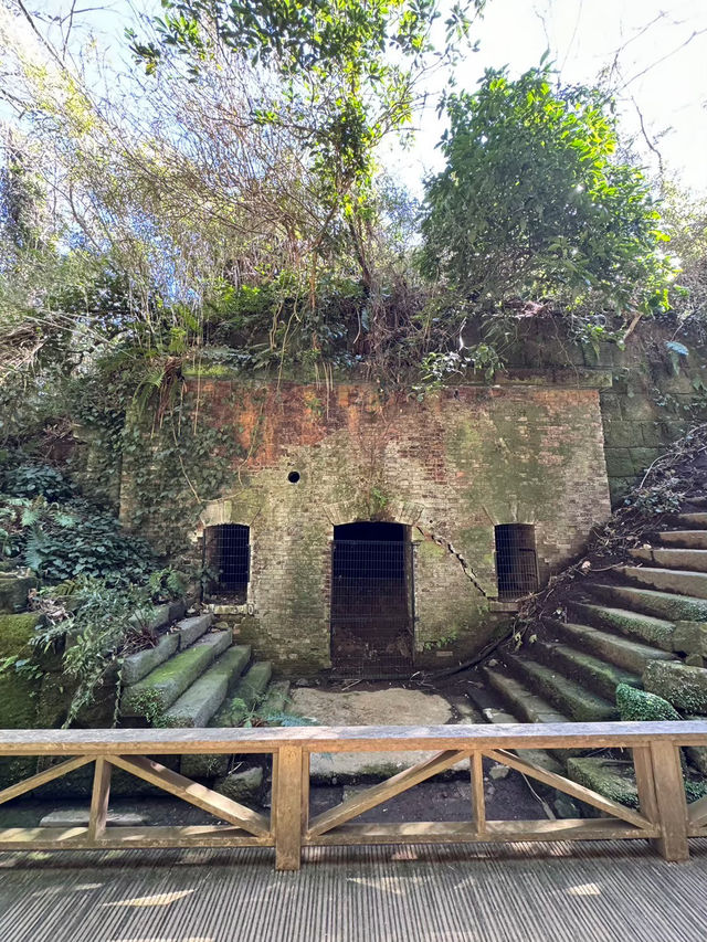 東京からすぐ行ける秘境🫣🌿豊かな自然と済んだ海の美しい無人島🏝