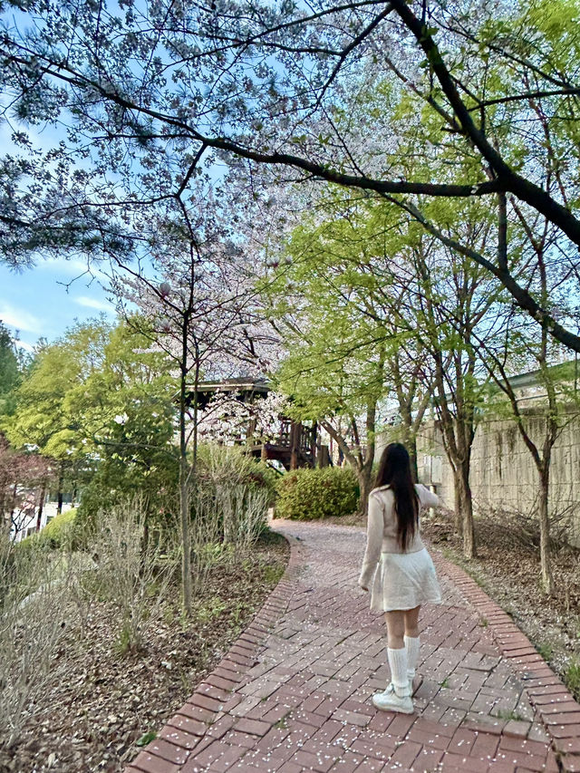 🌕 보름달처럼 가득한 감성, 수암골 카페 풀문에서의 여유로운 시간