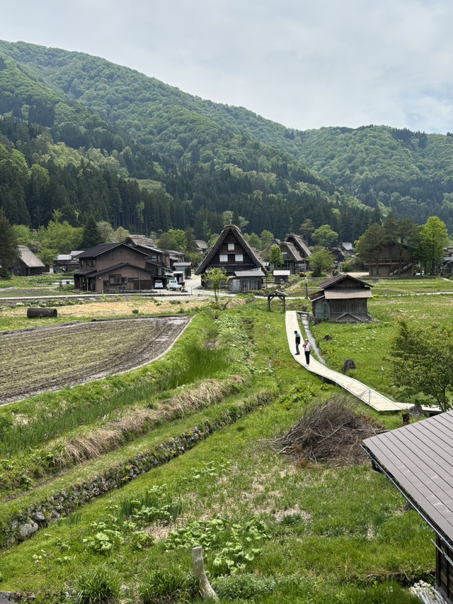 【岐阜県・白川村】世界遺産白川郷を巡ろう！