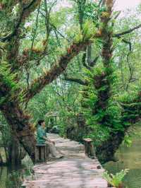 พักผ่อนแบบชิลๆ ที่พักติดป่าชายเลน ฟีลกู๊ดมาก 💚🌳