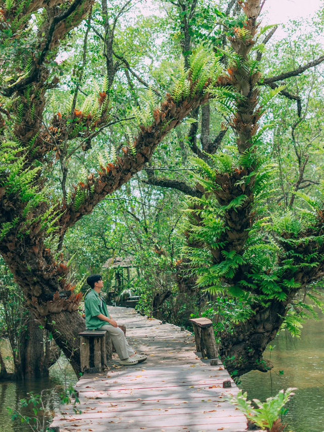 พักผ่อนแบบชิลๆ ที่พักติดป่าชายเลน ฟีลกู๊ดมาก 💚🌳