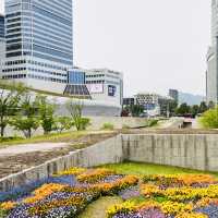 Explore Dongdaemun Design Plaza (DDP) Like a Pro
