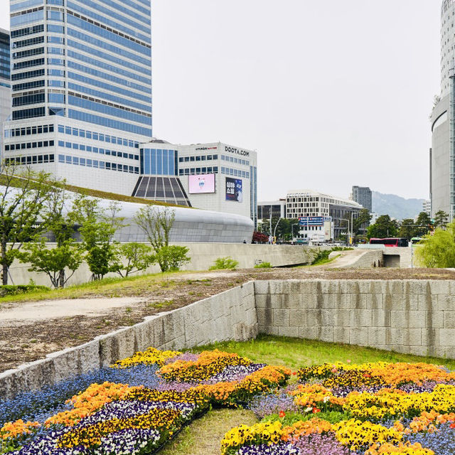 Explore Dongdaemun Design Plaza (DDP) Like a Pro