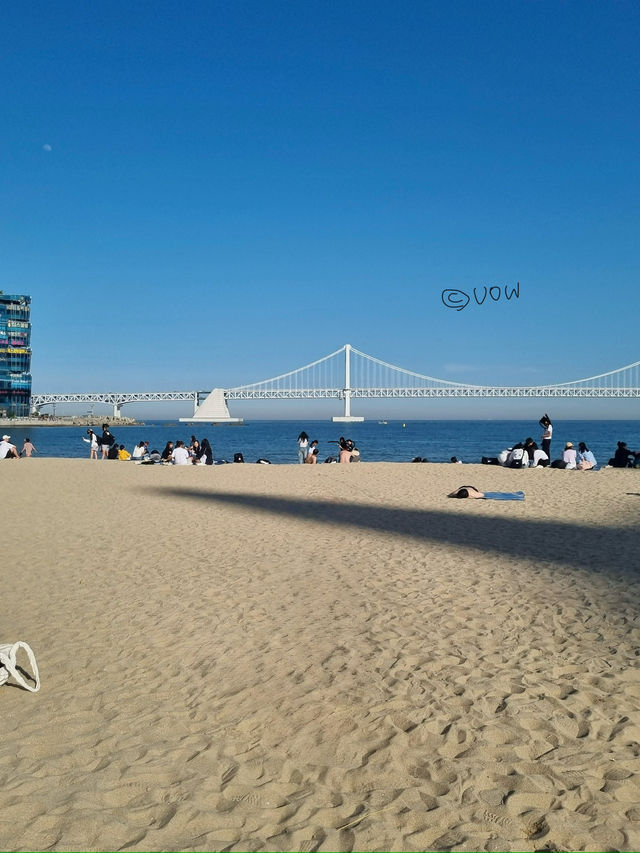 외국인에게 추천하는 부산여행일정 🐟🚢🚣