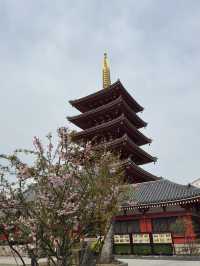 東京淺草購物攻略｜傳統與特色手信天堂