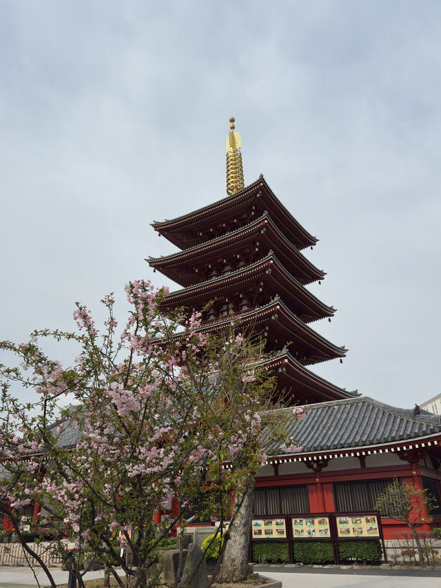 東京淺草購物攻略｜傳統與特色手信天堂