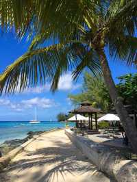 The Caribbean