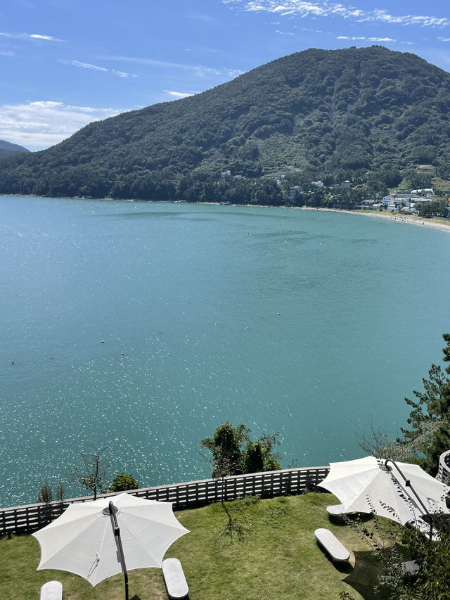 🌊 여수 바다를 품은 카페, 모이핀에서의 한 잔