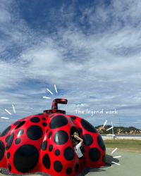 [Japan 🇯🇵] Naoshima: Where Art Meets Island Paradise (and My Pumpkin Dreams Came True!)
