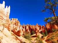 Navajo Loop and Queens Garden Trail: A popular hiking route in Utah!