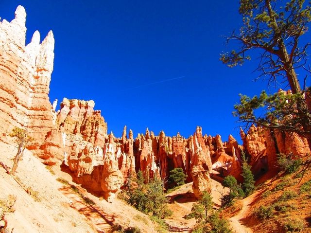 Navajo Loop and Queens Garden Trail: A popular hiking route in Utah!