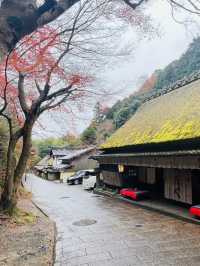  🍁嵐山の次はここ！静かに癒される「奥嵯峨」モデルルート🧭
