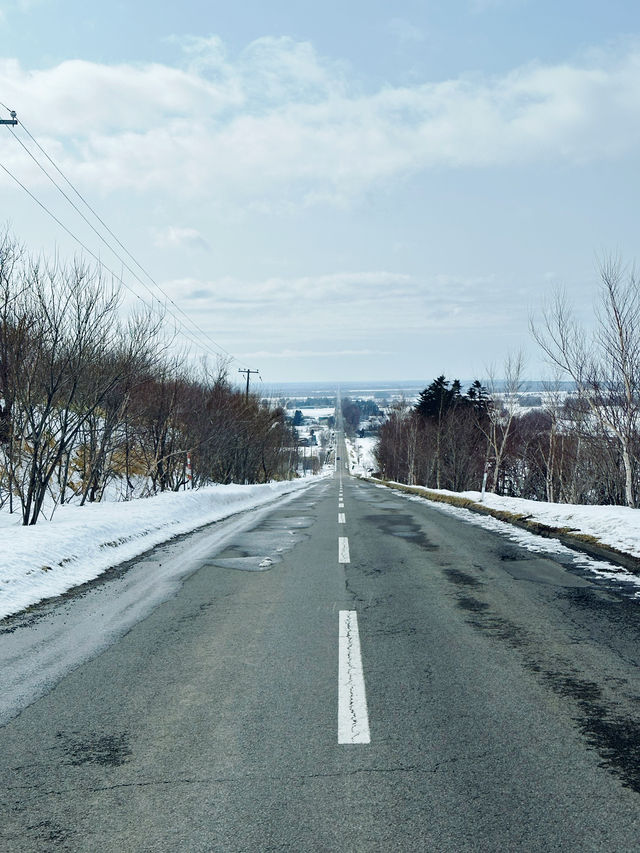 2023年3月❄️追趕日本道東極地流冰之旅❄️上集 - 流冰漫步