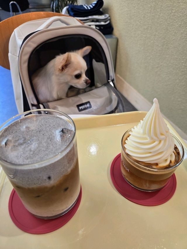친구랑 가고싶은 실내데이트 장소 켑트 카페❤️