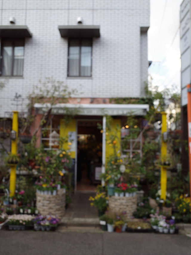 🌼【青山 COUNTRY HARVEST】草花の物語を感じる、大人の花屋さん体験🌿