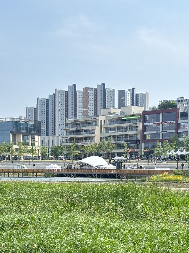 호수멍뷰 카페가보자!!