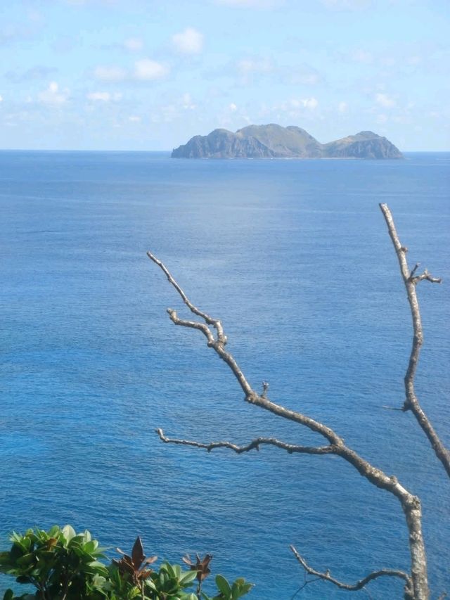 跳進一片蘭嶼海洋〔龍門港〕🌊⛵