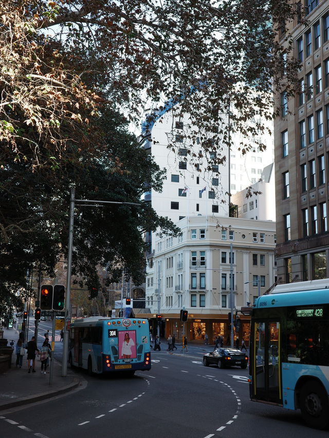 🇦🇺 Beginning of Winter in Sydney
