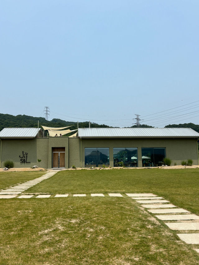☺️아산 샤스타데이지 카페 카페지새울🌳