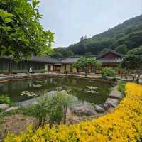 A Day at Baegyangsa Temple