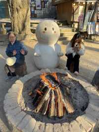 南怡島冬日戀歌：雪白世界裡的浪漫漫遊