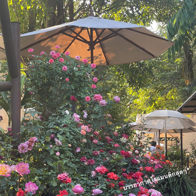 Fleur Cafe & Eatery ❁⋆₊*. คาเฟ่เชียงใหม่