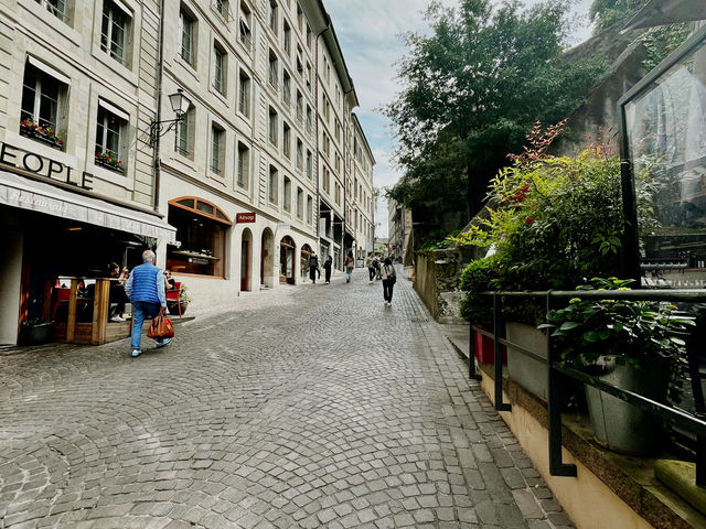 Scenic Ride Along the Lake – A Relaxing Geneva Mini Train Experience
