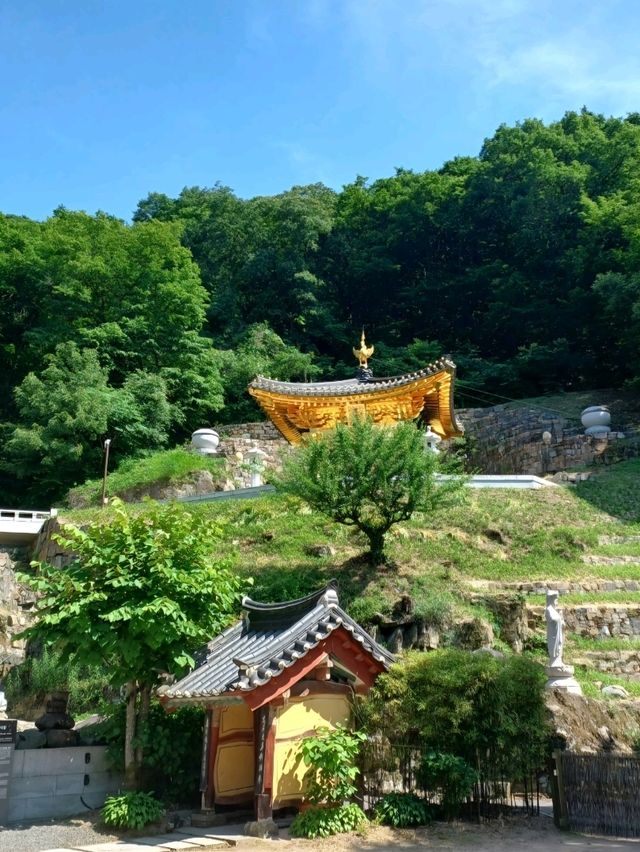 봄바람 속 고즈넉 데이트, 함안 장춘사 🌸