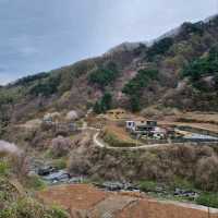Exploring Baeksolyeong in Jirisan