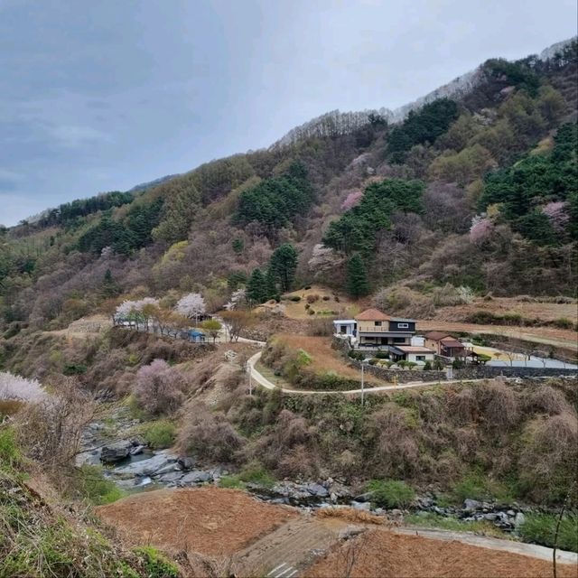 Exploring Baeksolyeong in Jirisan