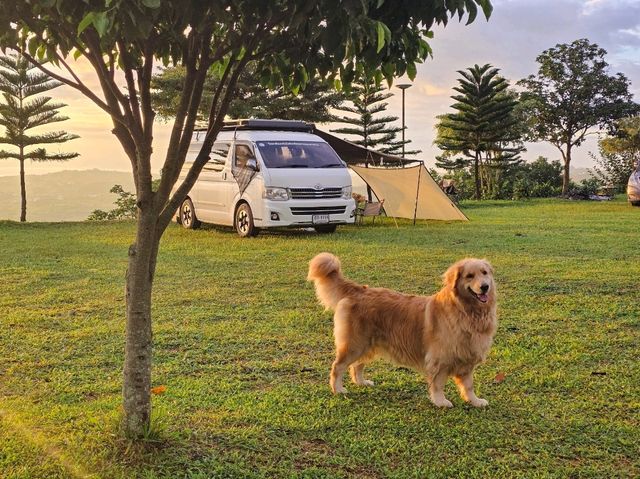 🌈ไร่ทวินวิว เขาค้อ⛈️🌲🌲🌲