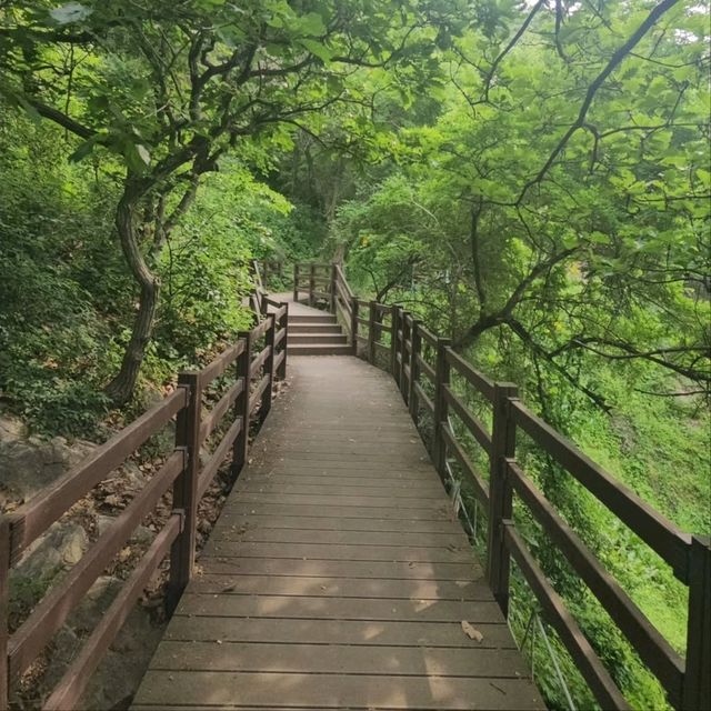 Sweaty, Scenic, and So Worth It