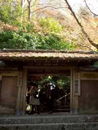 【京都】期間限定　瑠璃光院