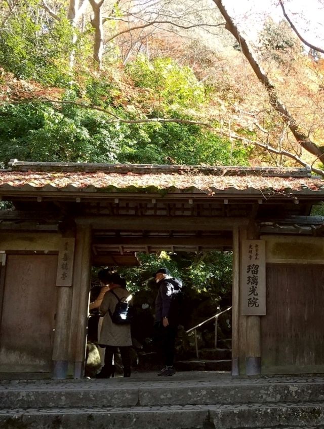 【京都】期間限定　瑠璃光院