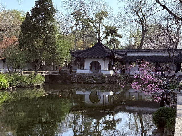 蘇州｜漫步「拙政園」