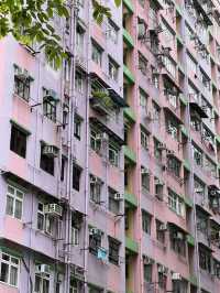 Unique Experiences in HK - Architecture 