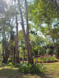 自然の癒しを感じる場所、タートトーン国立公園へようこそ。