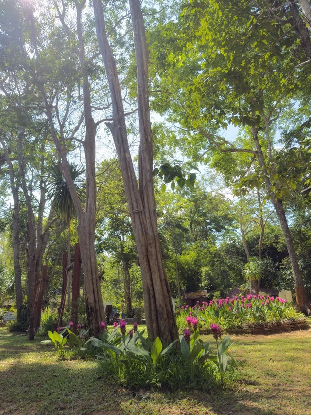 自然の癒しを感じる場所、タートトーン国立公園へようこそ。