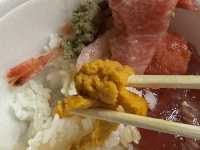 Aomori Onsen trip (11 days) part 1