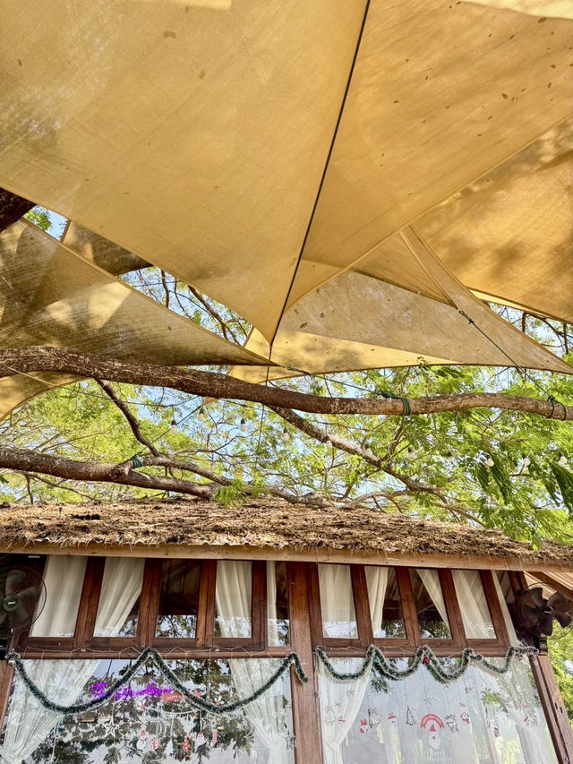 Sabai Jai Cafe' & Camp 🌳