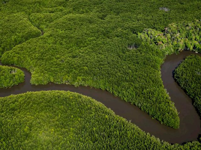 🌿 เขาจมป่า บ้านน้ำราบ จ.ตรัง 🌿