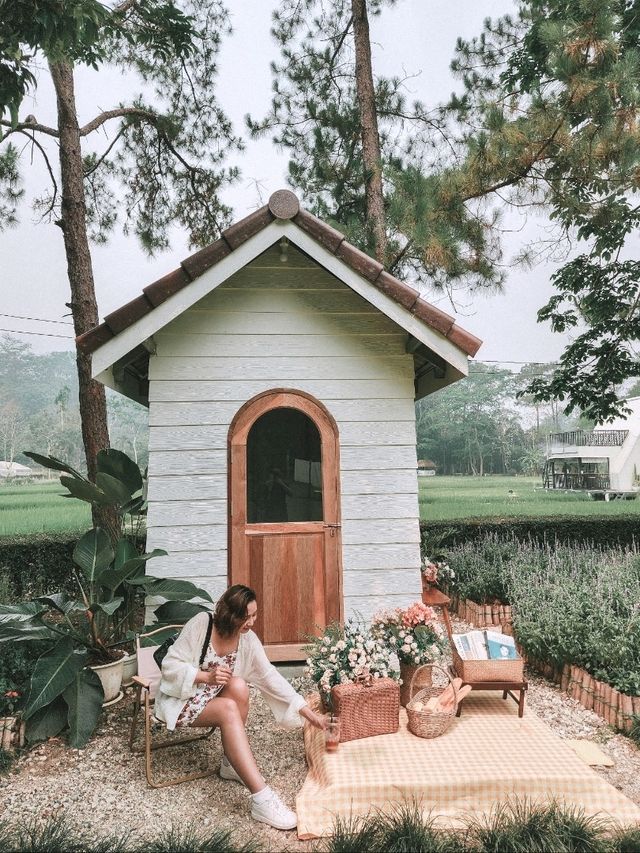 Cafe Hopping in Chiang Rai – A Must for Coffee & Photo Lovers! 📸☕