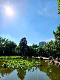 Fuxing Park Shanghai