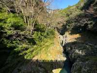🌿 Takachiho Gorge — Nature’s Masterpiece Worth the Wait