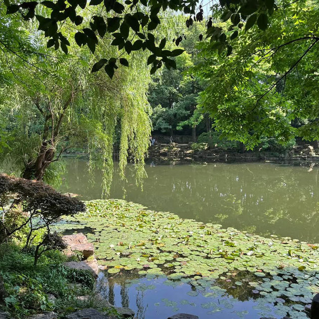 ⛰️ Nanjing Zhongshan Scenic Area – More Than Just 392 Steps 