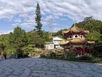 🚡 Maokong Gondola Summer Day Trip Guide